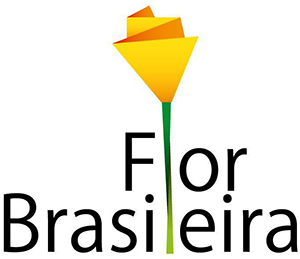 Ilustração do parceiro Flor Brasileira